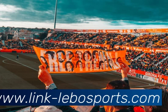 体育下注APP 封面图